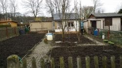Frühling im Schulgarten Frühling im Schulgarten